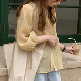Blusa de chifón de manga larga con cuello redondo. Camisa holgada de mujer